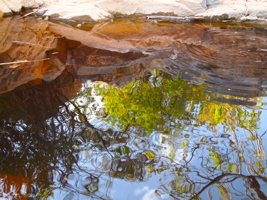 ripples in a frog-filled pond on Jebel Akhdar